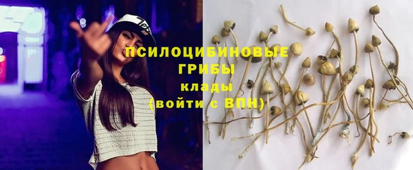 винт Лиски